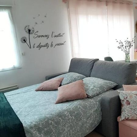 Proche Aeroport A Pied, Le Reve Rose. Apartman Tillé Kültér fotó