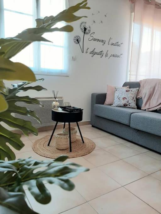 Proche Aeroport A Pied, Le Reve Rose. Apartman Tillé Kültér fotó
