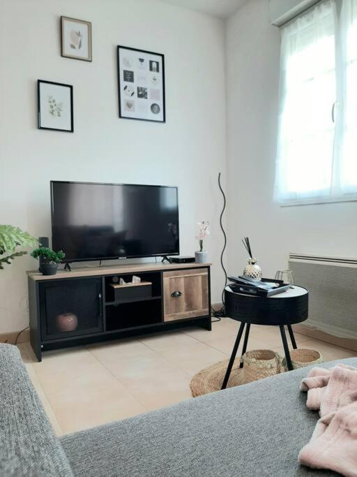 Proche Aeroport A Pied, Le Reve Rose. Apartman Tillé Kültér fotó