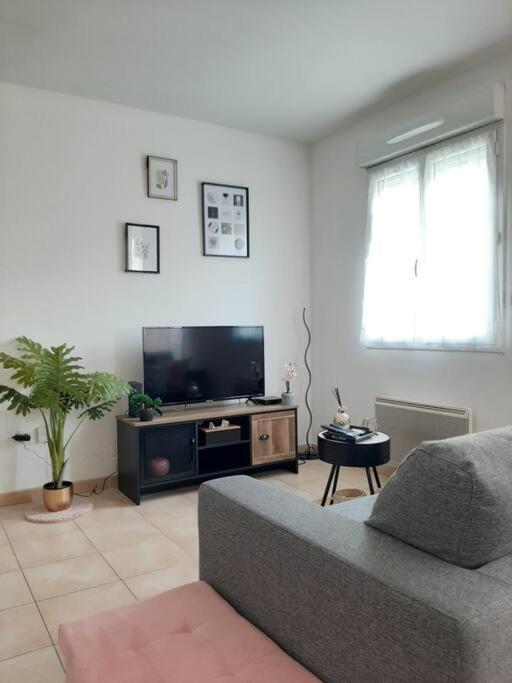 Proche Aeroport A Pied, Le Reve Rose. Apartman Tillé Kültér fotó