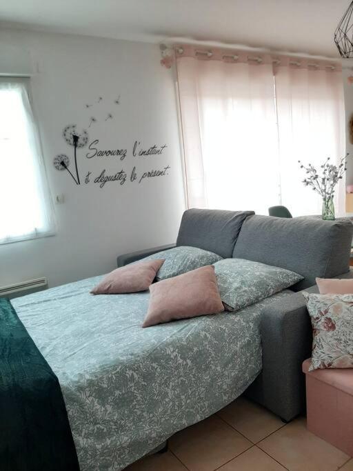 Proche Aeroport A Pied, Le Reve Rose. Apartman Tillé Kültér fotó